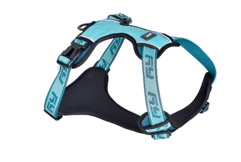 Ошейник, поводок и шлейка для домашних животных