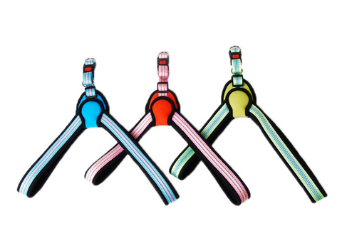 Поводок и шлейка для домашних животных