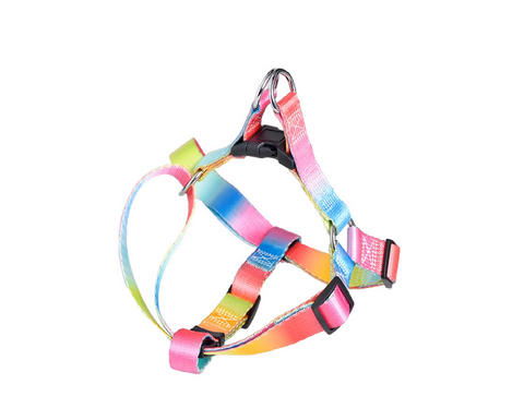 Ошейник для домашних животных, поводок и шлейка